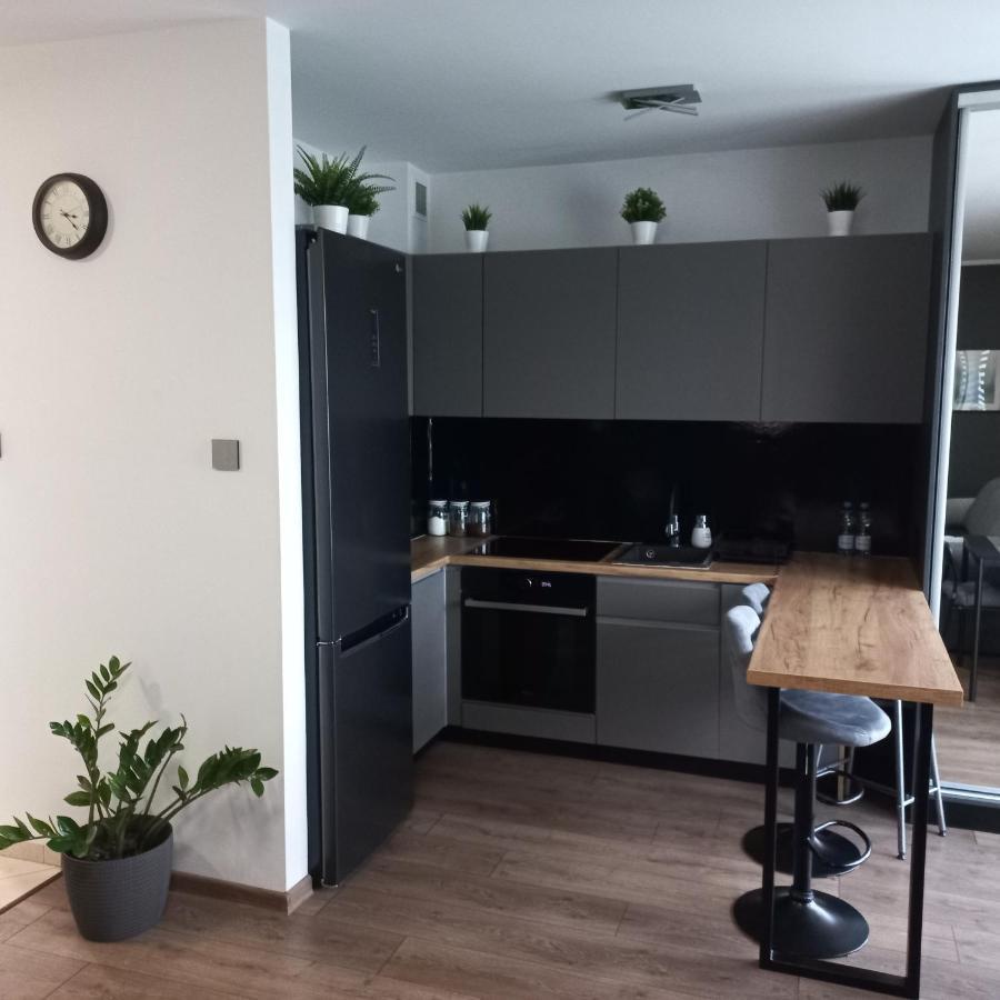 Apartament Plater Apartamento Pruszcz Gdański Exterior foto
